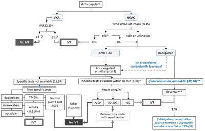 Decision-Making Process for the Management of Acute Stroke in Patients on Oral Anticoagulant: From Guidelines to Clinical Routine